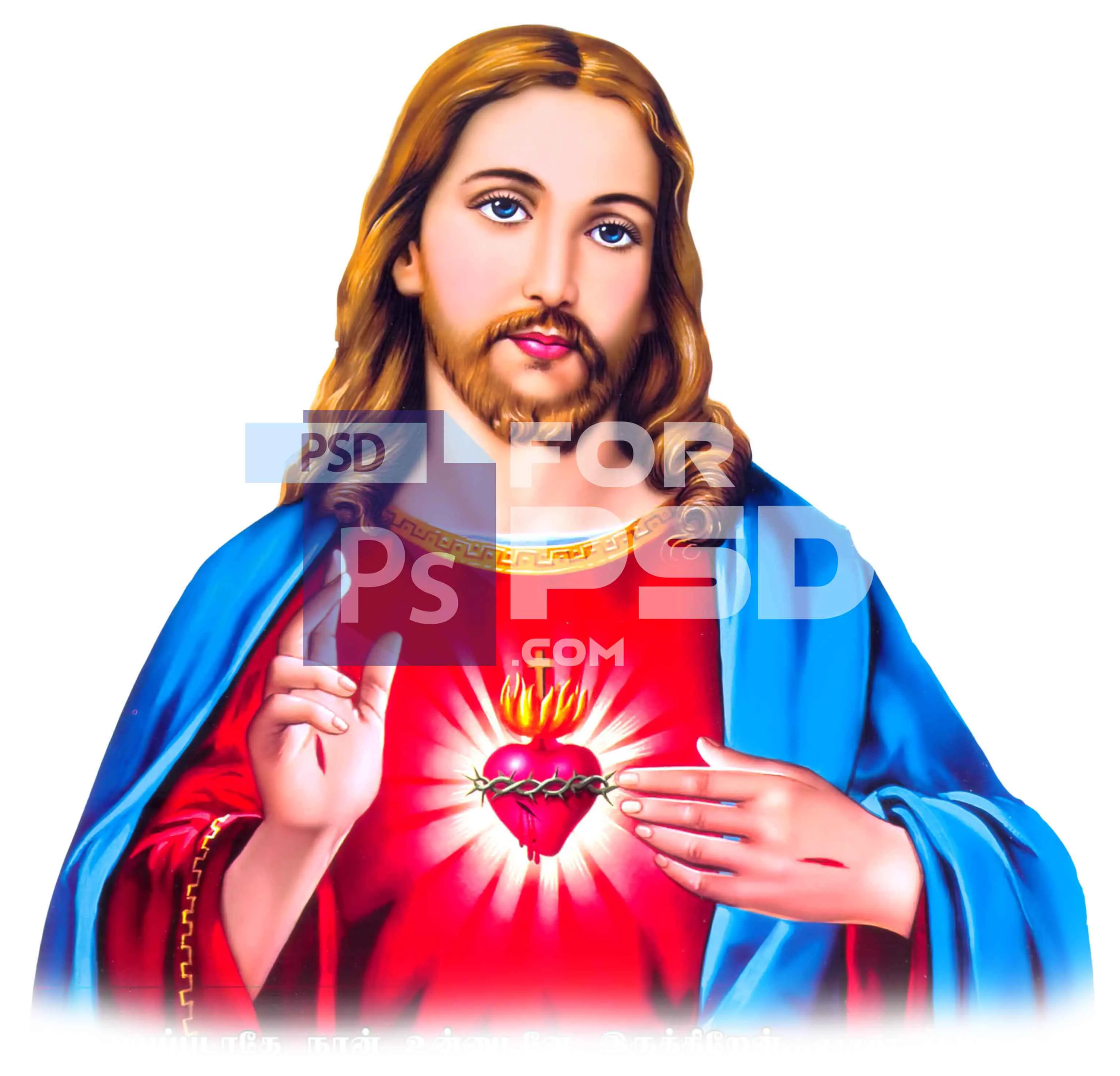Image Preview
